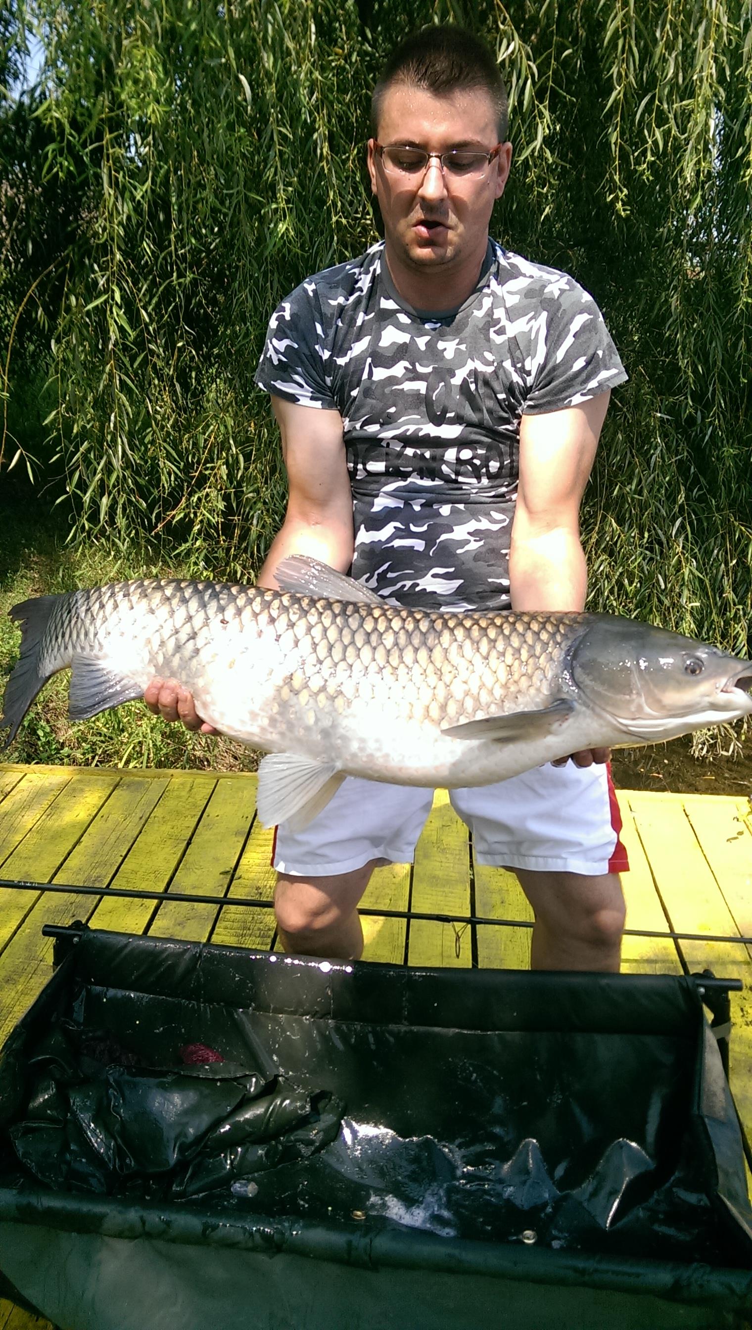 balta lazar - imag0411.jpg